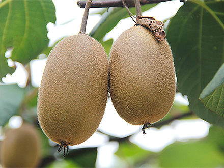 九游棋牌入口基地展示一